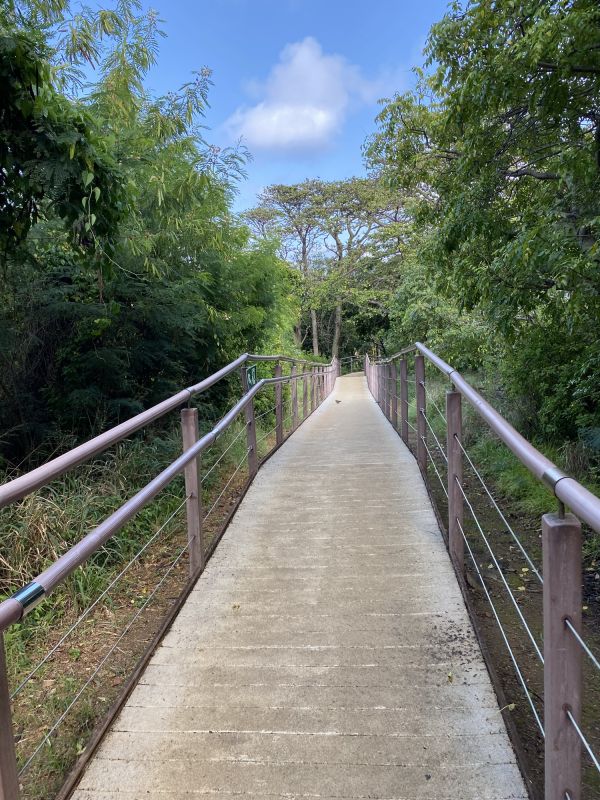 Concrete Sidewalk Installation Service