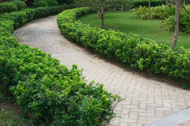 Elegant Paver Path
